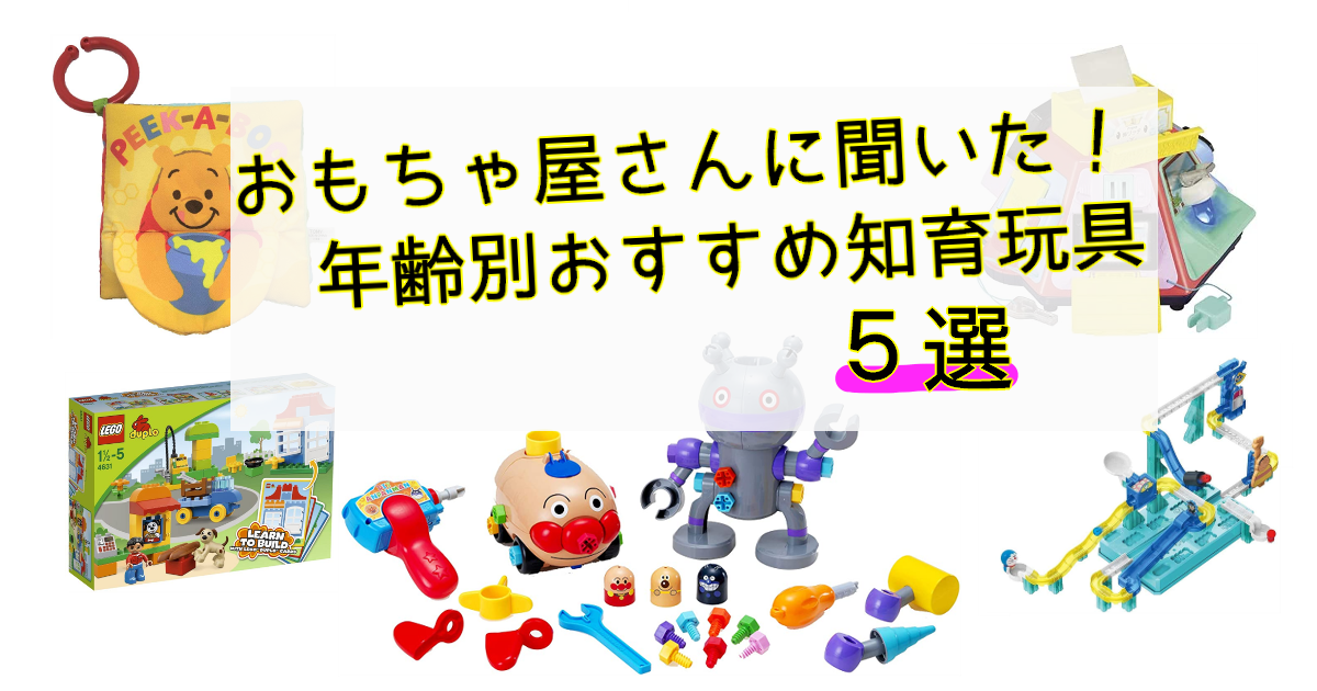 おもちゃ屋さんに聞いた 年齢別おすすめ知育玩具５選 庶民のfireるーと